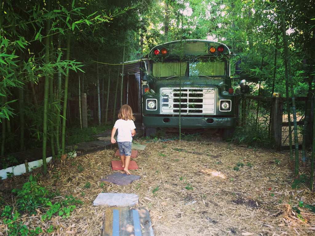 The Green School Bus