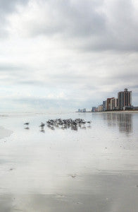 CHASING THE ENDLESS SUMMER