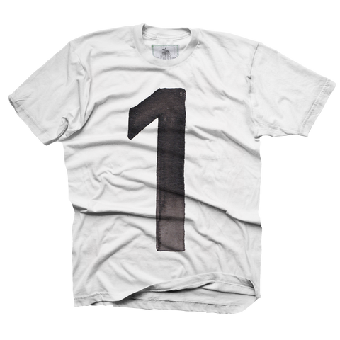 1st Birthday - toddler