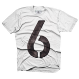 6th Birthday - toddler