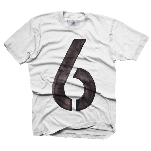 6th Birthday - toddler